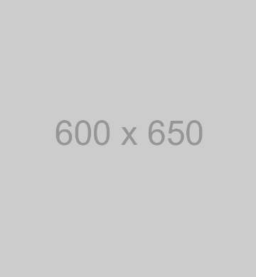 bildunterschrift5 600x650