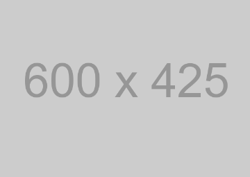 600x425