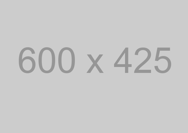 600x425 600x425